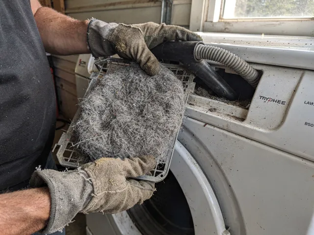 Cleaning Dryer Lint Trap in Colton